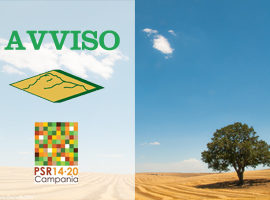 PSR Campania 2014-2020 – Misura 19.3 – Progetto di Cooperazione Transnazionale CREA_MED – Avviso appalto aggiudicato