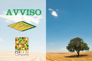 PSR Campania 2014-2020 – Misura 19.3 – Progetto di Cooperazione Transnazionale CREA_MED – Avviso appalto aggiudicato