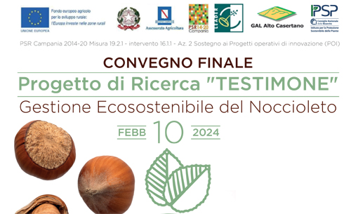 Convegno finale "Progetto di Ricerca Testimone" - 10 Febbraio 2024 - Presso la Sede della Proloco di Presenzano - Piazza Porta Nuova